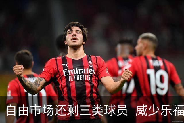 自由市场还剩三类球员 威少乐福领衔失业大军？