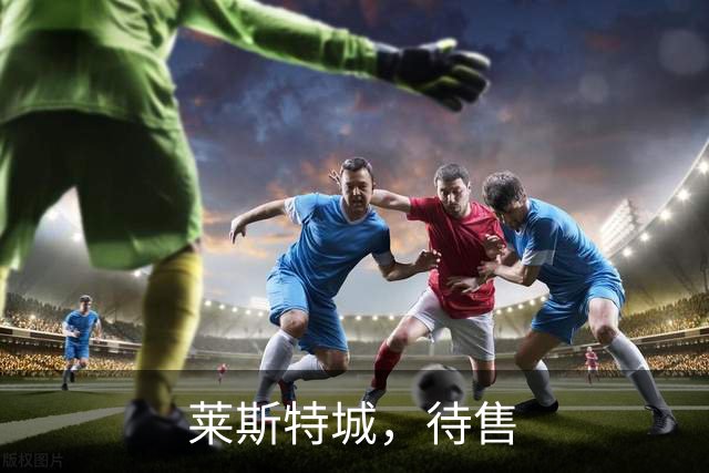 莱斯特城，待售