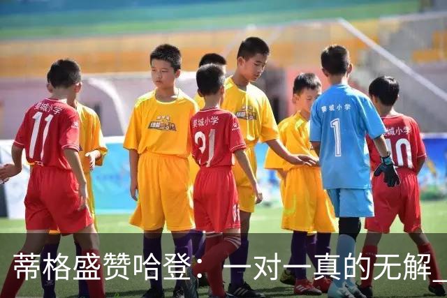 蒂格盛赞哈登：一对一真的无解 联盟甚至为他修改了犯规规则！